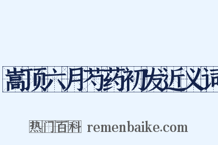 嵩顶六月芍药初发近义词是什么意思的图片